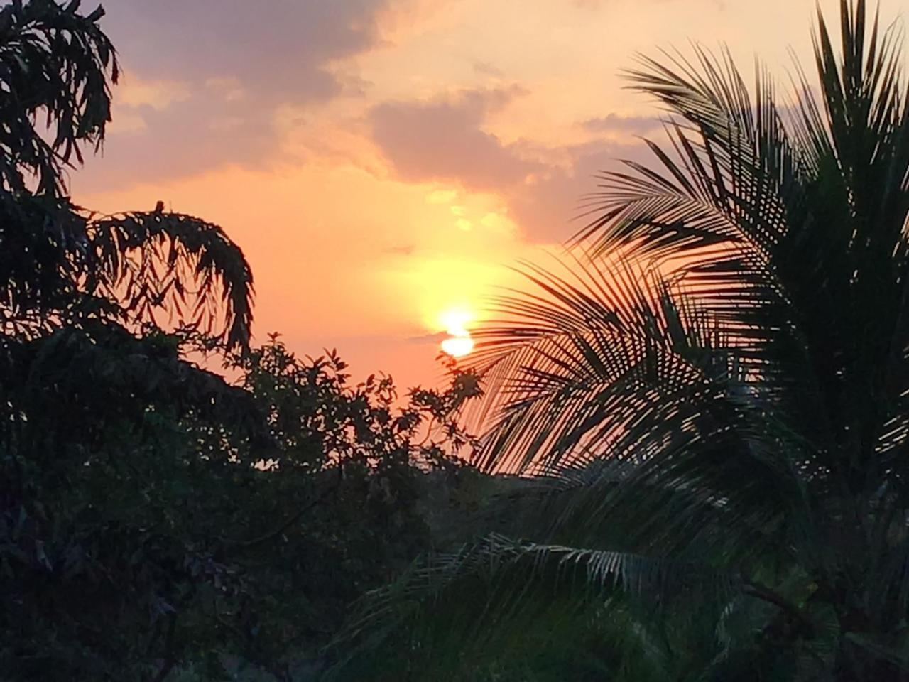 Hotel Los Cielos Del Caribe Cahuita Zewnętrze zdjęcie