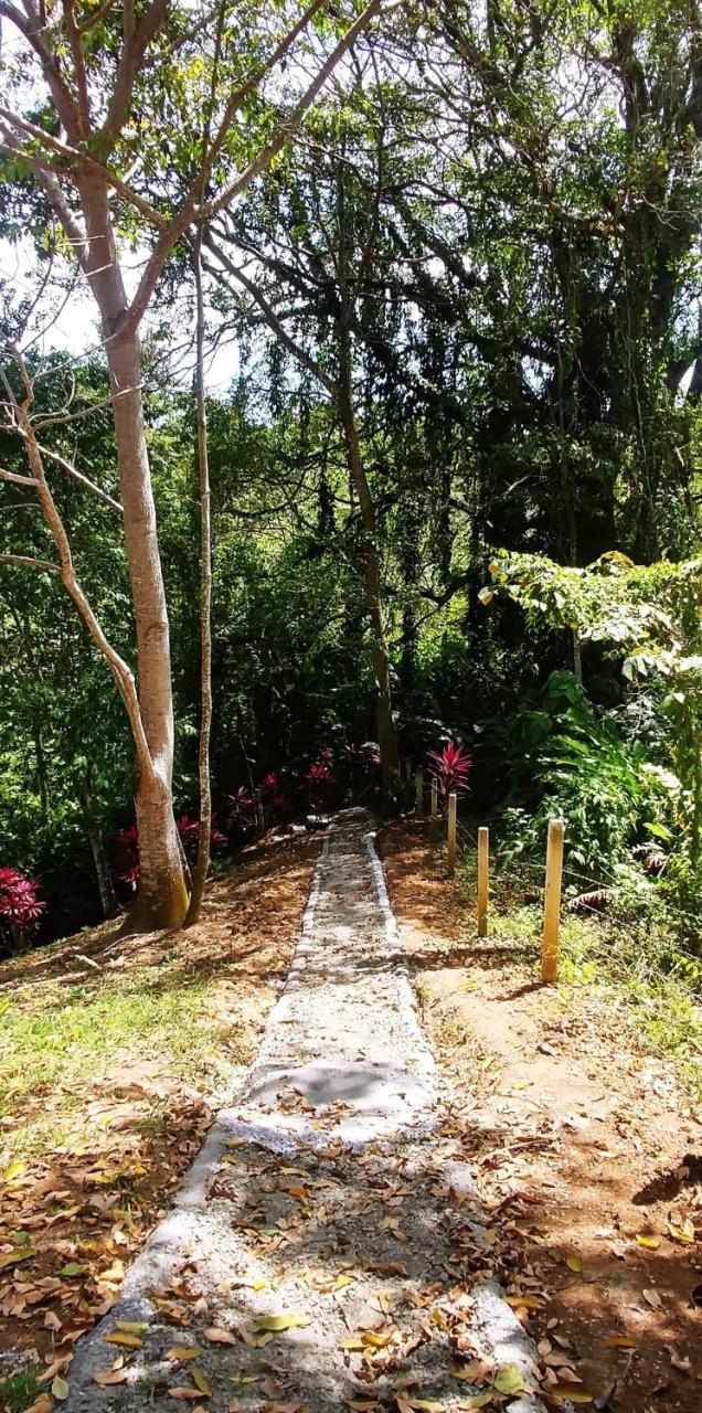 Hotel Los Cielos Del Caribe Cahuita Zewnętrze zdjęcie