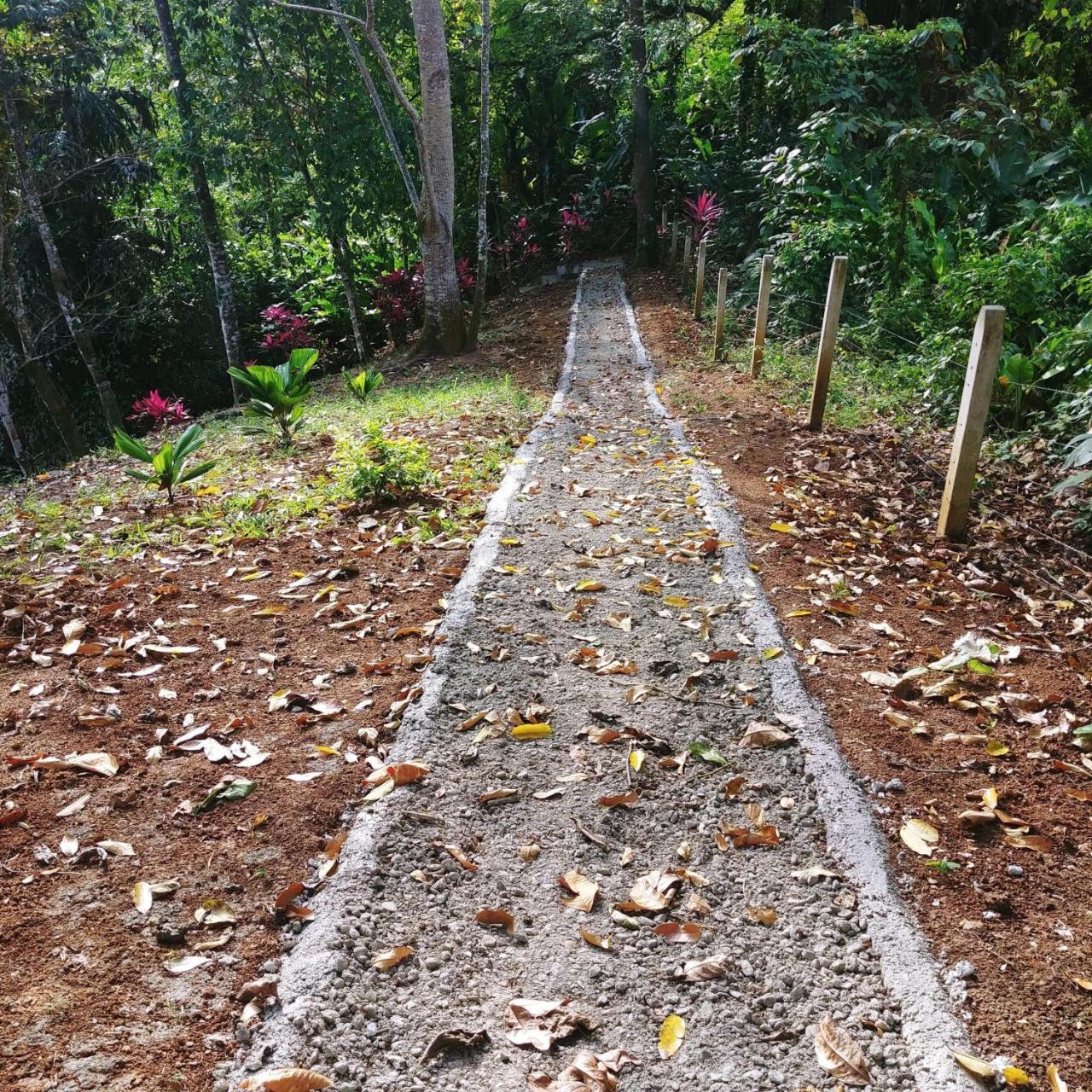 Hotel Los Cielos Del Caribe Cahuita Zewnętrze zdjęcie