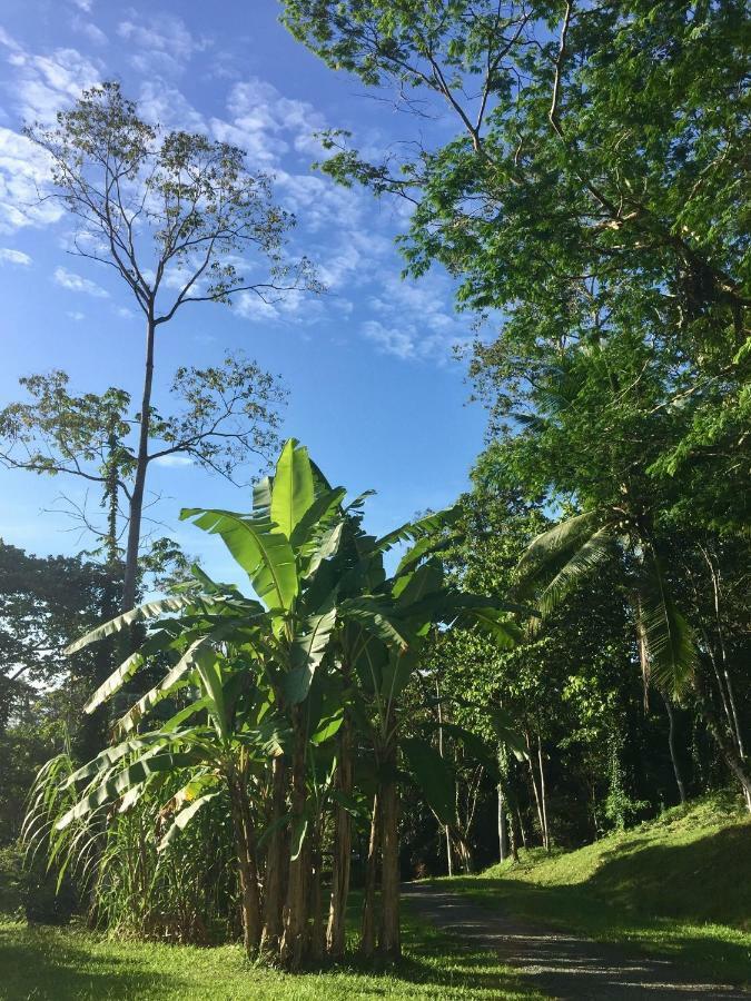 Hotel Los Cielos Del Caribe Cahuita Zewnętrze zdjęcie